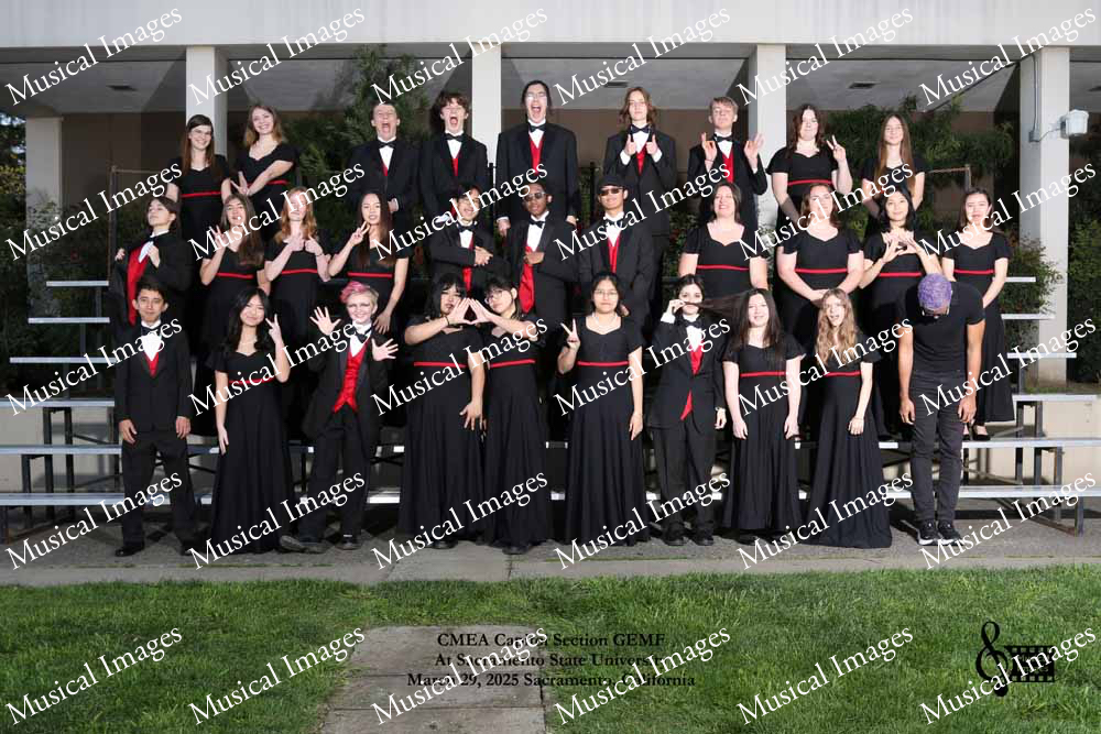 Musical Images